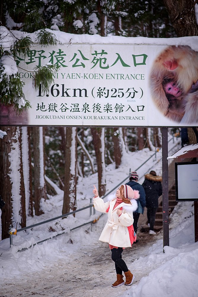 日本長野景點|地獄谷野猿公苑|從成田機場抵達雪猴溫泉公園交通方式&時刻表~看古錐猴子在雪景中泡湯!
