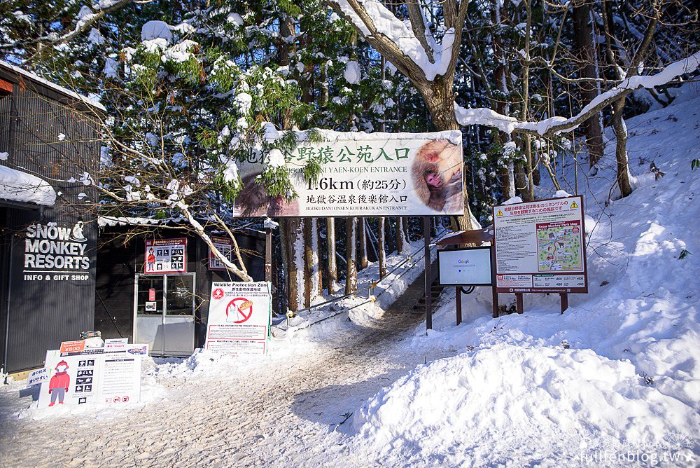 日本長野景點|地獄谷野猿公苑.雪猴泡湯好療癒|從成田機場抵達雪猴溫泉公園交通方式&專車接送~古錐猴子在雪景中泡湯!