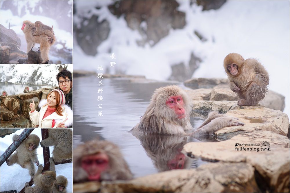 日本長野景點|地獄谷野猿公苑|從成田機場抵達雪猴溫泉公園交通方式&時刻表~看古錐猴子在雪景中泡湯!