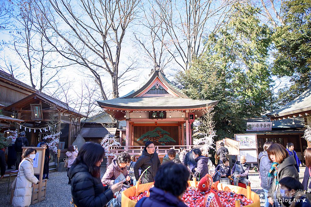 日本東京近郊景點|冰川神社|小江戶川越必訪|冰川神社交通&振袖和服體驗|釣古錐鯛魚籤詩及放人形流!