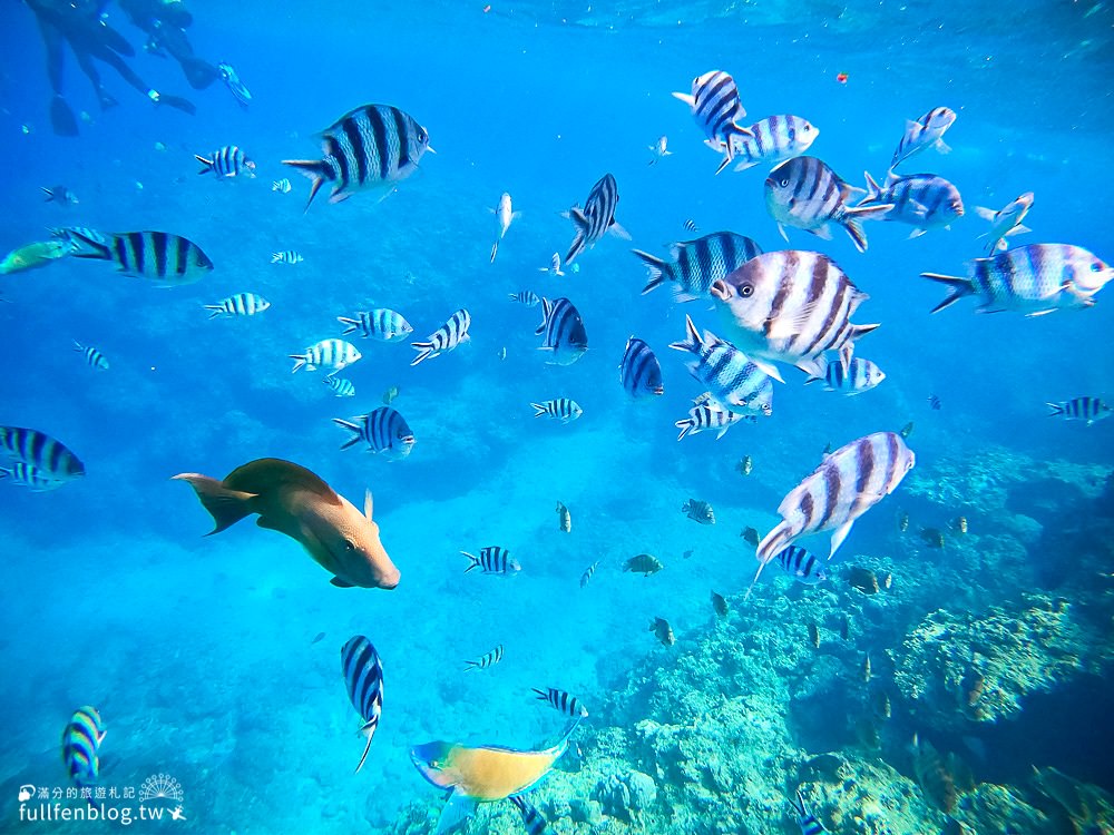 沖繩浮潛推薦|Natural Blue自然之藍評價|沖繩必訪青之洞窟(青洞)|專業安全浮潛潛水~不會游泳.不會日文通通都可以玩!