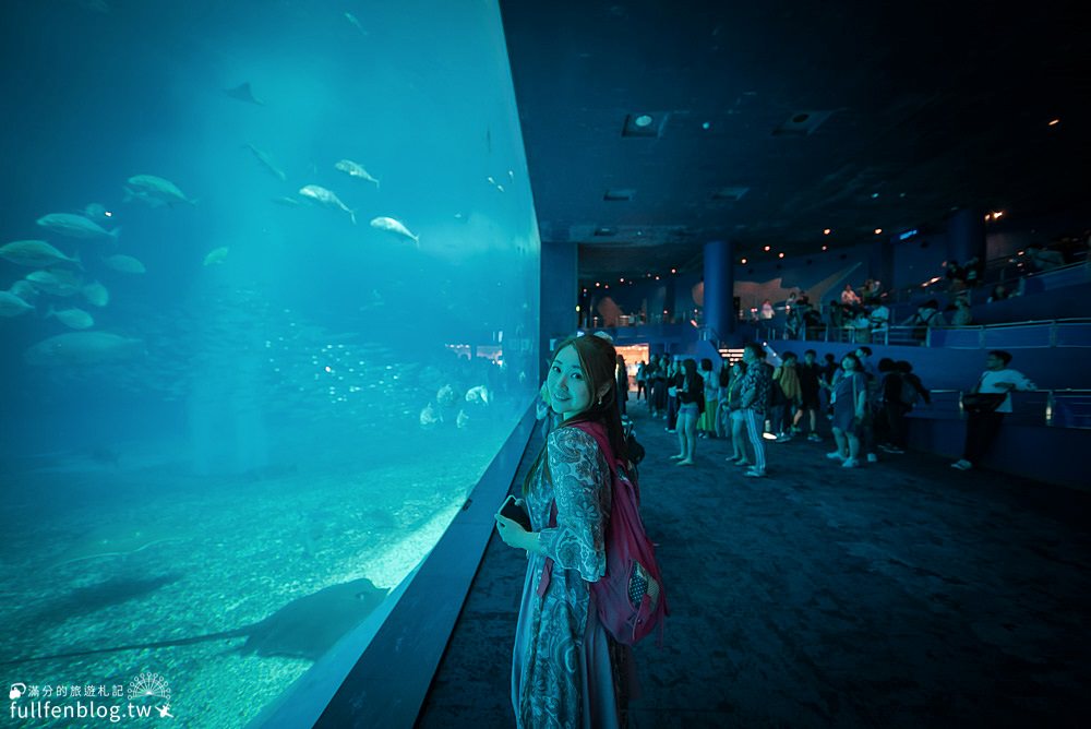 沖繩必玩景點|美麗海水族館|世界最大水族館~看見最美鯨鯊&超精彩的海豚表演秀!!