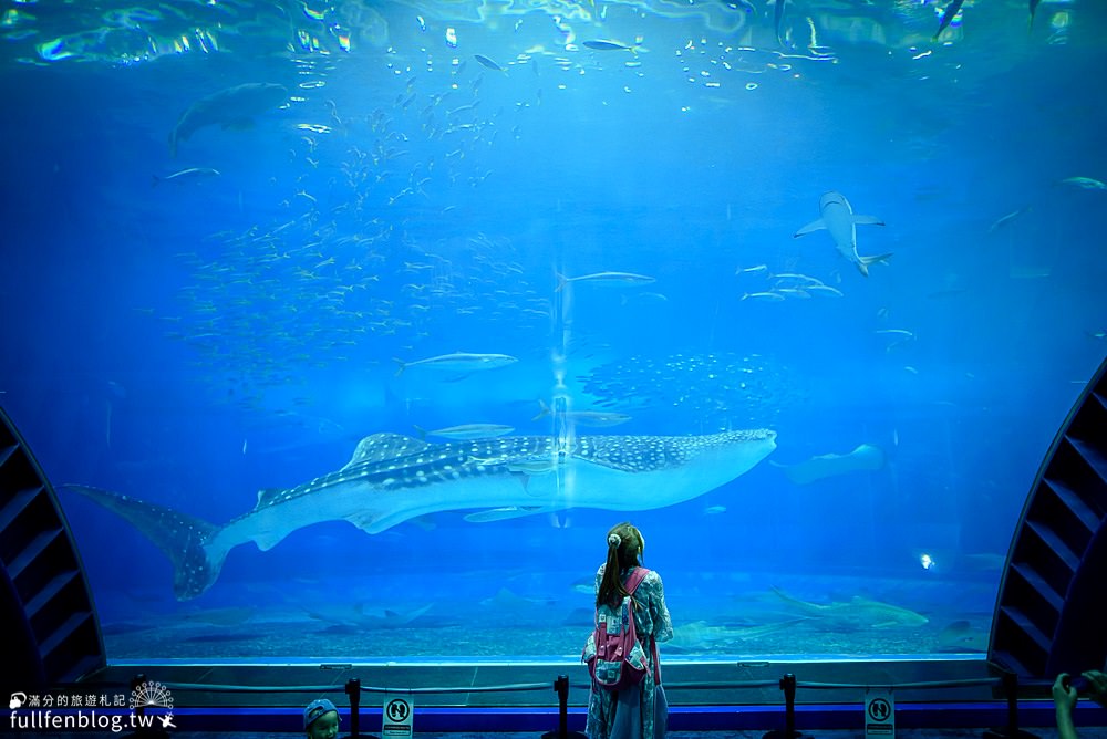 沖繩必玩景點|美麗海水族館|世界最大水族館~看見最美鯨鯊&超精彩的海豚表演秀!!