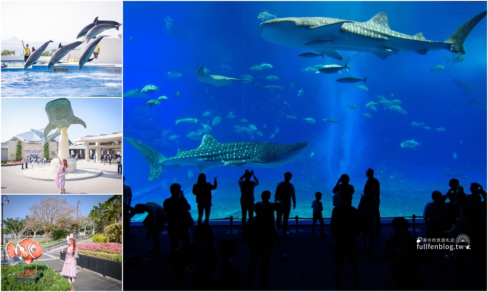 沖繩必玩景點|美麗海水族館|世界最大水族館~看見最美鯨鯊&#038;超精彩的海豚表演秀!! @滿分的旅遊札記