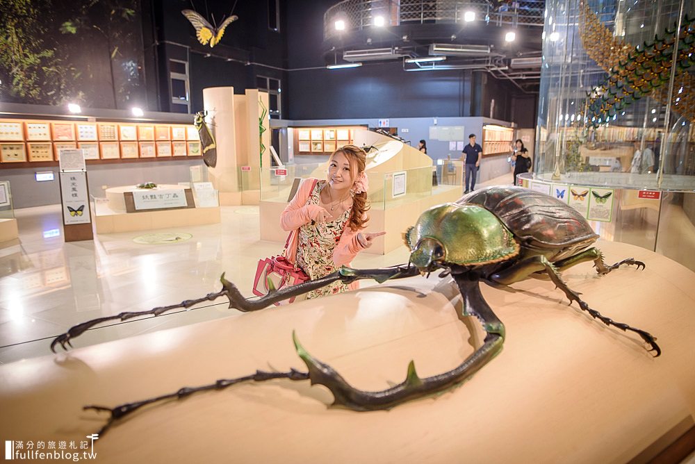 嘉義景點|新嘉大昆蟲館|巨人版昆蟲模型.世界首創旋轉彩蝶柱~漫遊最美溫室蝴蝶園！