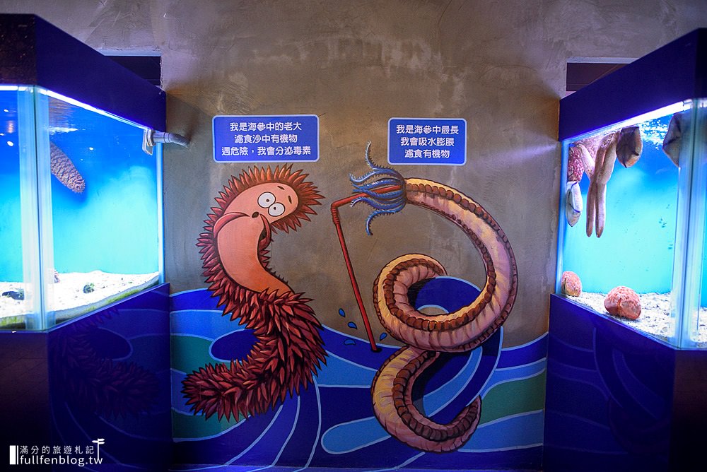 小琉球景點|小琉球海洋館|親子景點.導覽解說|必拍3D立體彩繪~跟著海龜海底世界探索趣！