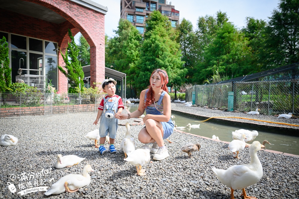 宜蘭【謝記休閒農場-鴨寮故事館】近距離餵鴨.還能抱抱黃色小鴨超有趣.走進鴨寮抓蛋作鹹蛋好特別!