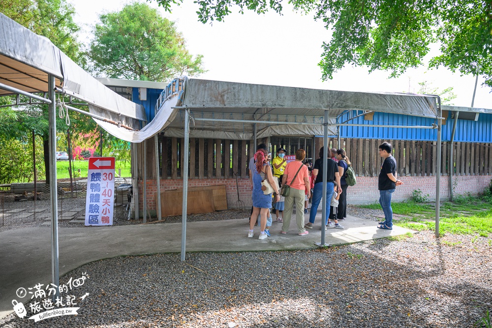 宜蘭【謝記休閒農場-鴨寮故事館】近距離餵鴨.還能抱抱黃色小鴨超有趣.走進鴨寮抓蛋作鹹蛋好特別!
