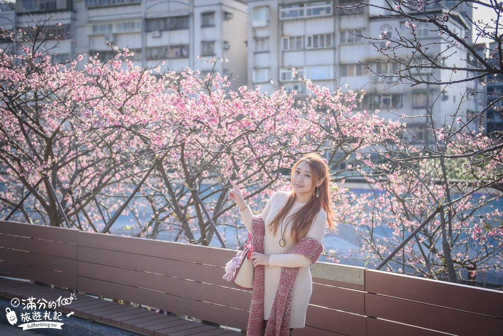 2022樂活公園櫻花季.夜櫻季|粉色風暴來襲～浪漫寒櫻綻放中！
