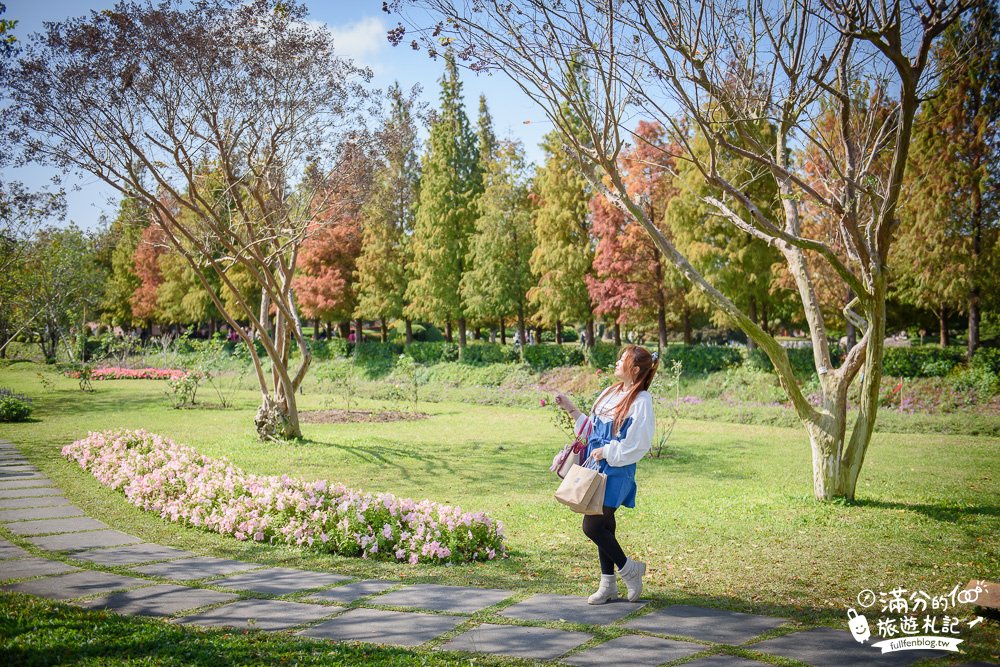 彰化永靖景點|成美文化園|日式庭院.落羽松秘境|玩穿越~漫遊百年三合院建築!