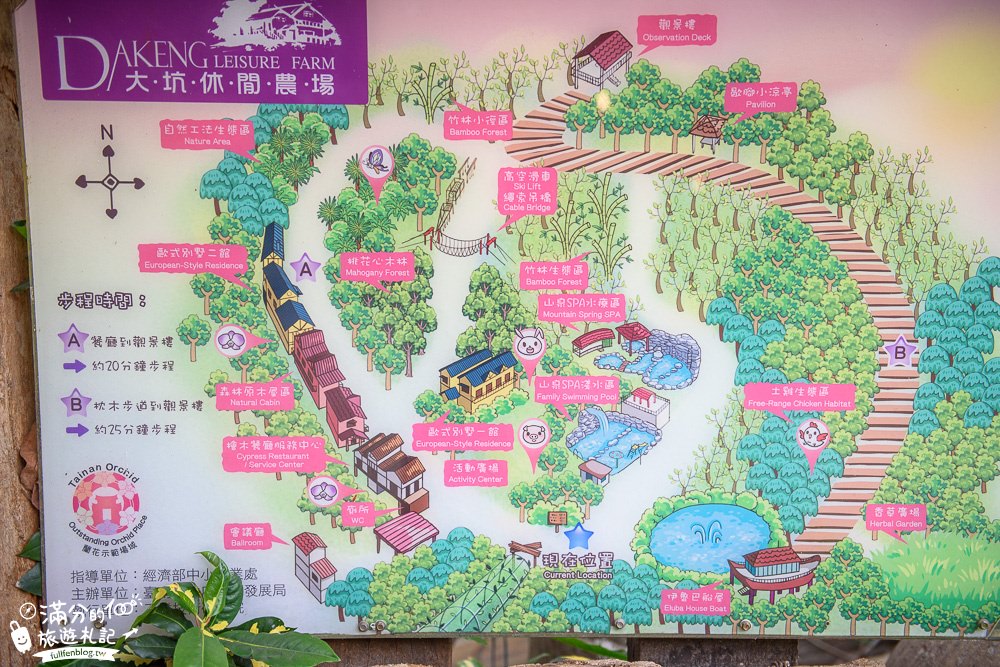 台南新化景點|大坑休閒農場|情侶約會.下午茶.餵小兔.看孔雀開屏|探索森林城堡~玩拍紫藤花瀑布!
