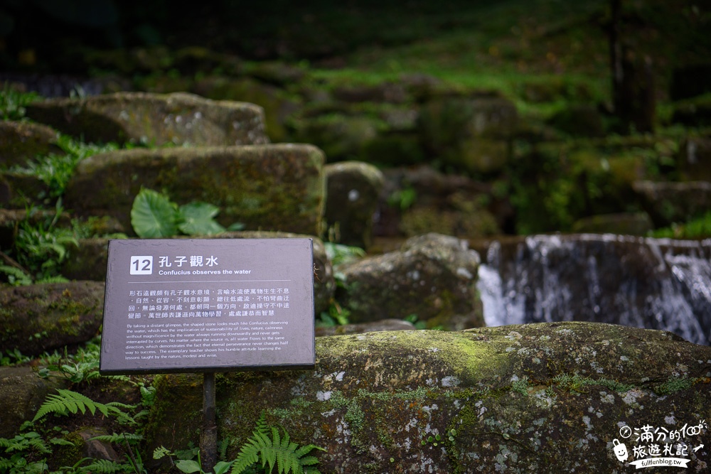 新北三峽景點|熊空茶園|海拔700公尺的靜謐|望茶田.看瀑布.下午茶~被夢幻茶田包圍了!