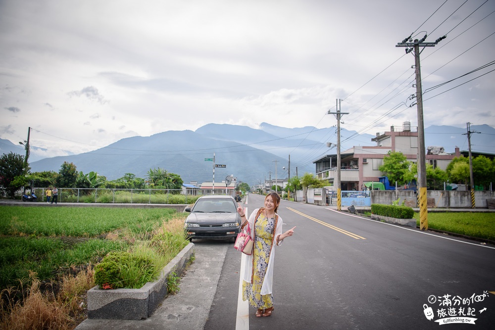 花蓮吉安景點|嘉德花田金針花海(免門票)|情侶約會.季節花季|夢幻金針花.紫薇花豔麗綻放好迷人!