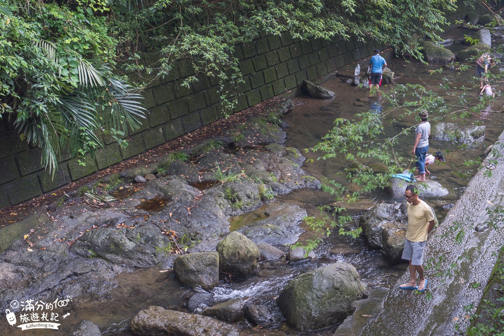 新竹橫山景點|豐鄉瀑布|親子景點.情侶約會.野溪戲水|森林小仙境~夢幻階梯瀑布!