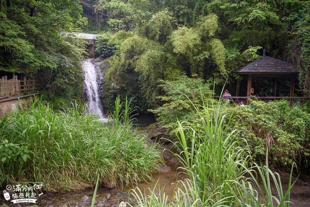 新竹橫山景點|豐鄉瀑布|親子景點.情侶約會.野溪戲水|森林小仙境~夢幻階梯瀑布!
