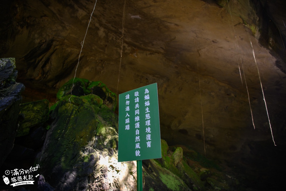 桃園景點|三民蝙蝠洞(免門票)彎月洞穴.雙絲瀑布.森林步道|夢幻水簾洞~大自然的鬼斧神工!