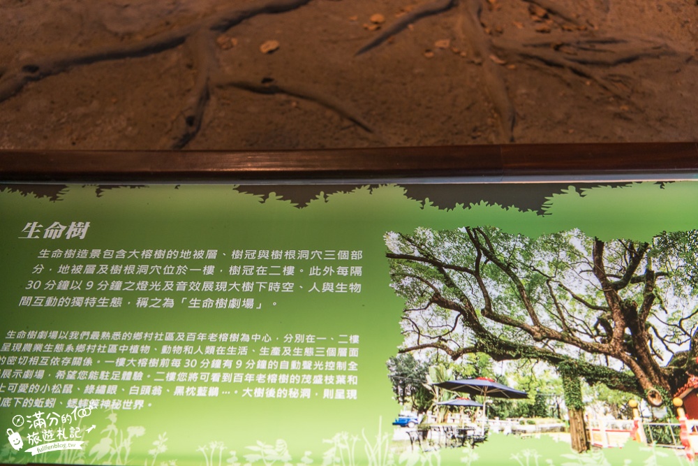 南投集集景點|特有生物研究保育中心|親子景點.台灣黑熊.石虎.蝙蝠|好生動~自然生態的探索樂園!