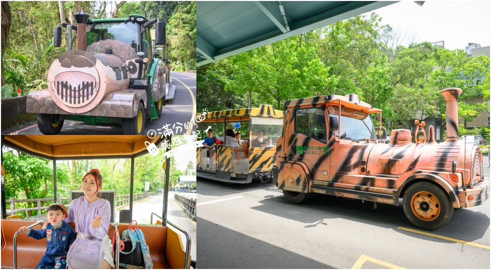 臺北市立動物園【木柵動物園】看貓熊.搭動物列車.走熱帶雨林.拍無尾熊彩繪.吃造型雞蛋糕.搭貓空纜車,跟著動物明星吃喝玩樂! @滿分的旅遊札記