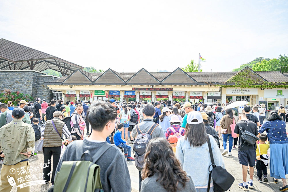 臺北市立動物園【木柵動物園】看貓熊.搭動物列車.走熱帶雨林.拍無尾熊彩繪.吃造型雞蛋糕.搭貓空纜車,跟著動物明星吃喝玩樂!