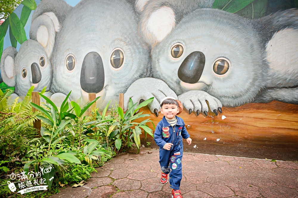 臺北市立動物園【木柵動物園】看貓熊.搭動物列車.走熱帶雨林.拍無尾熊彩繪.吃造型雞蛋糕.搭貓空纜車,跟著動物明星吃喝玩樂!