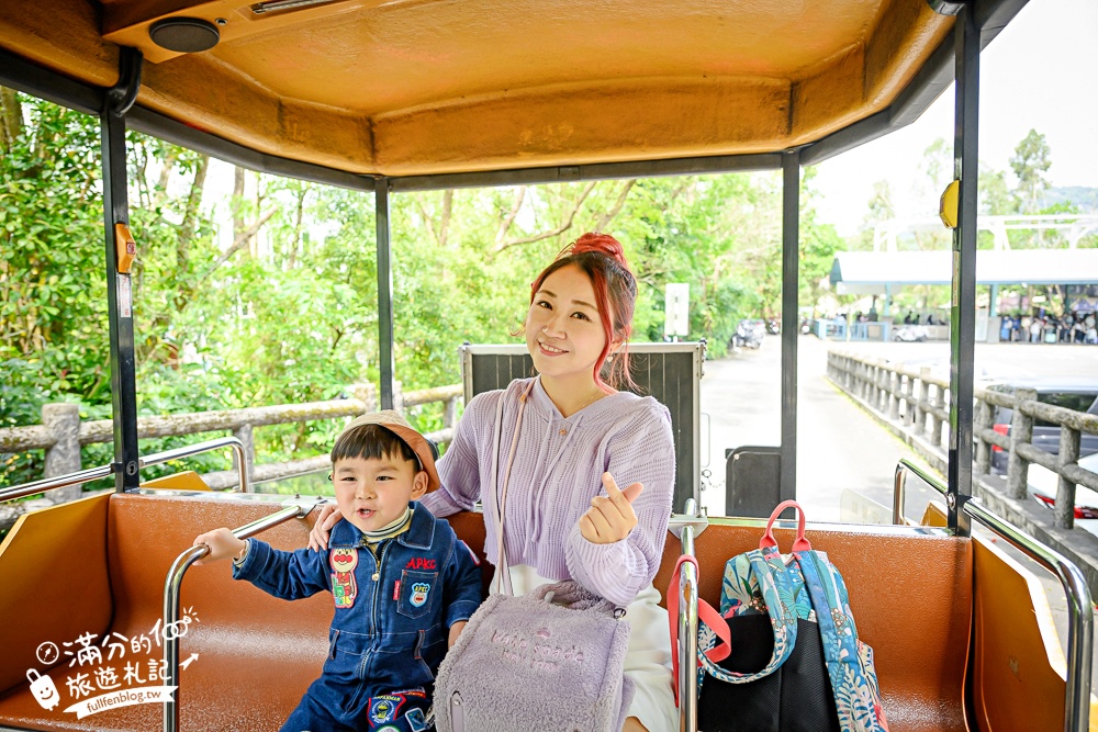 臺北市立動物園【木柵動物園】看貓熊.搭動物列車.走熱帶雨林.拍無尾熊彩繪.吃造型雞蛋糕.搭貓空纜車,跟著動物明星吃喝玩樂!
