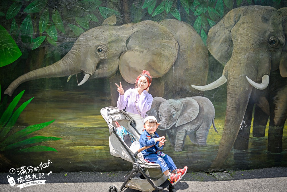 臺北市立動物園【木柵動物園】看貓熊.搭動物列車.走熱帶雨林.拍無尾熊彩繪.吃造型雞蛋糕.搭貓空纜車,跟著動物明星吃喝玩樂!