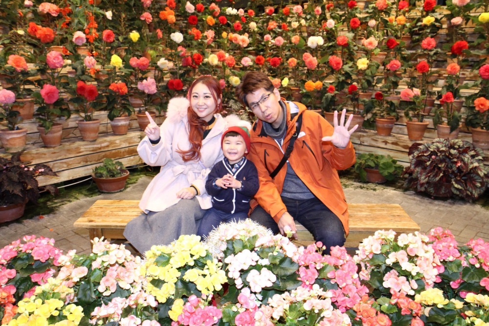 日本三重景點【名花之里】2025最新燈海隧道,世界級夢幻花園.必走海棠花廊.吃安永餅.泡溫泉.拋花許願~璀璨霓虹燈節好震撼!