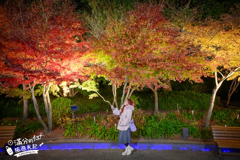 日本三重景點【名花之里】2025最新燈海隧道,世界級夢幻花園.必走海棠花廊.吃安永餅.泡溫泉.拋花許願~璀璨霓虹燈節好震撼!