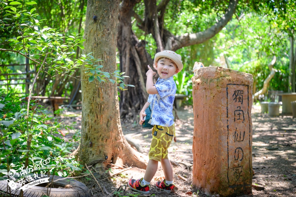 桃園觀音景點【蓮荷園休閒農場】賞蓮花.坐大王蓮.盪鞦韆.搭船遊湖.吃蓮子剉冰,一期一會挑戰輕功水上飄!