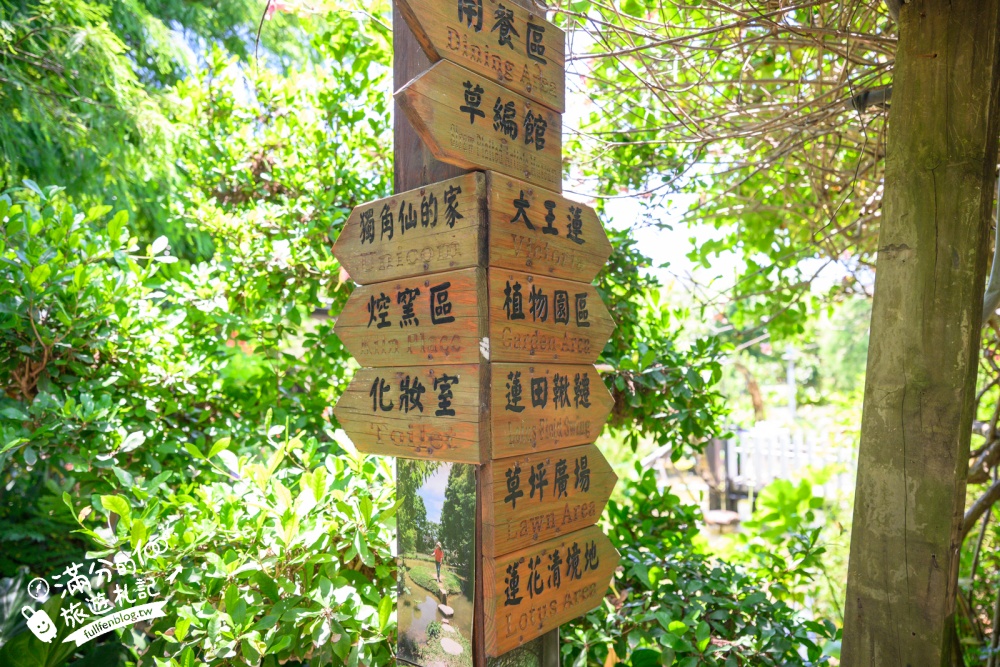 桃園觀音景點【蓮荷園休閒農場】賞蓮花.坐大王蓮.盪鞦韆.搭船遊湖.吃蓮子剉冰,一期一會挑戰輕功水上飄!
