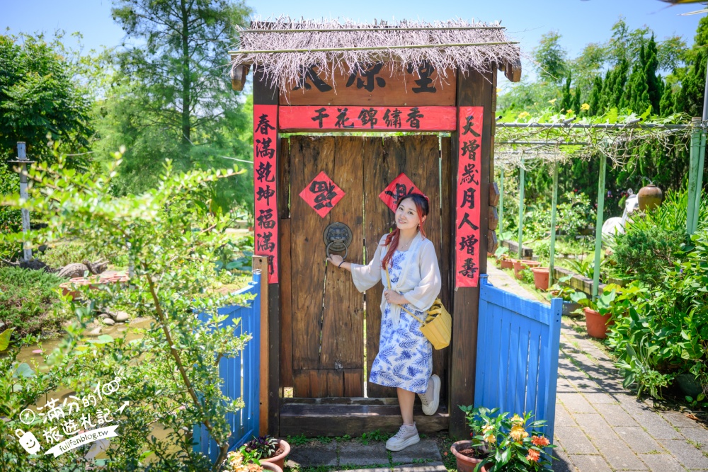 桃園觀音景點【蓮荷園休閒農場】賞蓮花.坐大王蓮.盪鞦韆.搭船遊湖.吃蓮子剉冰,一期一會挑戰輕功水上飄!
