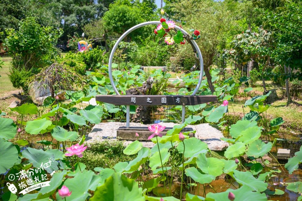 桃園觀音景點【蓮荷園休閒農場】賞蓮花.坐大王蓮.盪鞦韆.搭船遊湖.吃蓮子剉冰,一期一會挑戰輕功水上飄!