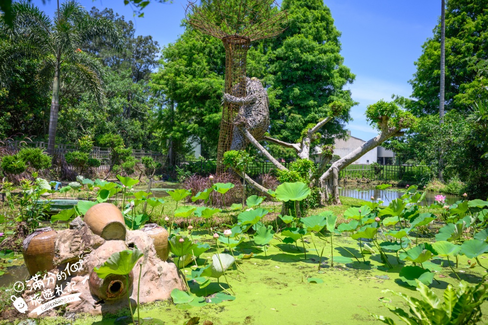 桃園觀音景點【蓮荷園休閒農場】賞蓮花.坐大王蓮.盪鞦韆.搭船遊湖.吃蓮子剉冰,一期一會挑戰輕功水上飄!