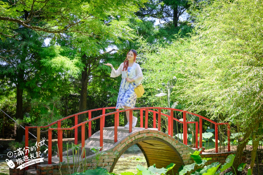 桃園觀音景點【蓮荷園休閒農場】賞蓮花.坐大王蓮.盪鞦韆.搭船遊湖.吃蓮子剉冰,一期一會挑戰輕功水上飄!