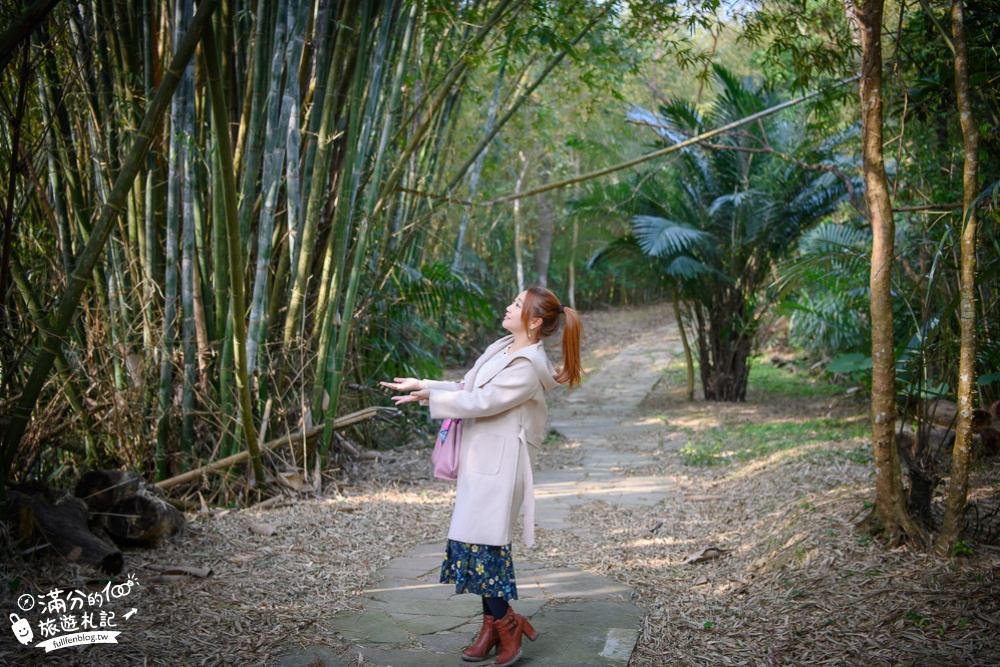 新竹景點【小森之歌】芎林森林秘境,用餐喝咖啡,浪漫童話莊園~夢幻森林教堂!
