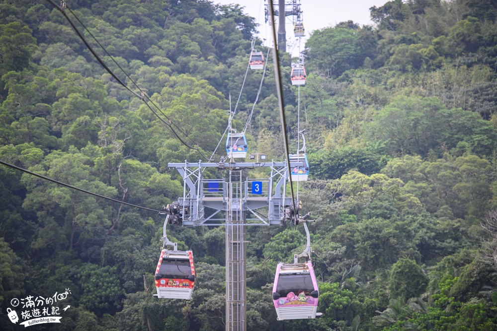 臺北市立動物園【木柵動物園】看貓熊.搭動物列車.走熱帶雨林.拍無尾熊彩繪.吃造型雞蛋糕.搭貓空纜車,跟著動物明星吃喝玩樂!