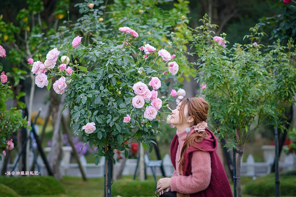 玫瑰花景點懶人包|Top 6大玫瑰花景點推薦|魅力四射~全台最美麗的玫瑰園都在這!