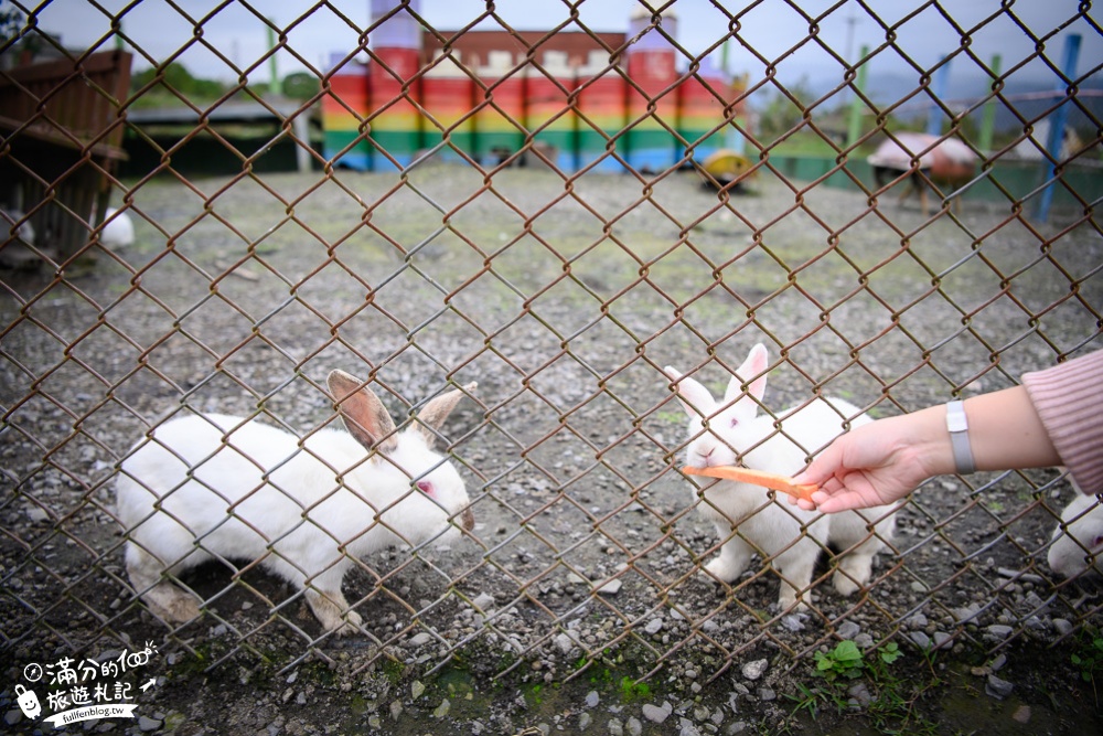 宜蘭員山景點|可達休閒羊場(免門票)親子景點.100元動物飼料全餐|一次滿足餵食雞鴨羊兔鵝!