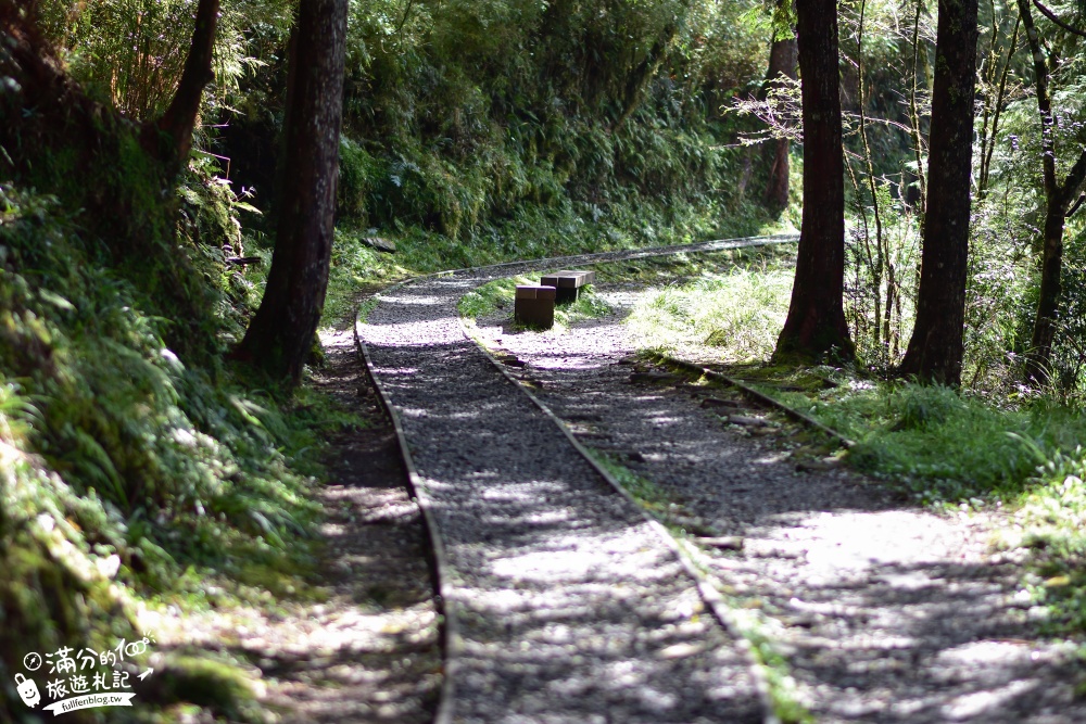 宜蘭景點|見晴懷古步道|舊鐵道森呼吸.望聖陵線.看大霸尖山.走吊橋|感受古道四季~夢幻綠鐵道之旅!