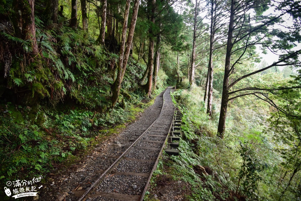 宜蘭景點|見晴懷古步道|舊鐵道森呼吸.望聖陵線.看大霸尖山.走吊橋|感受古道四季~夢幻綠鐵道之旅!