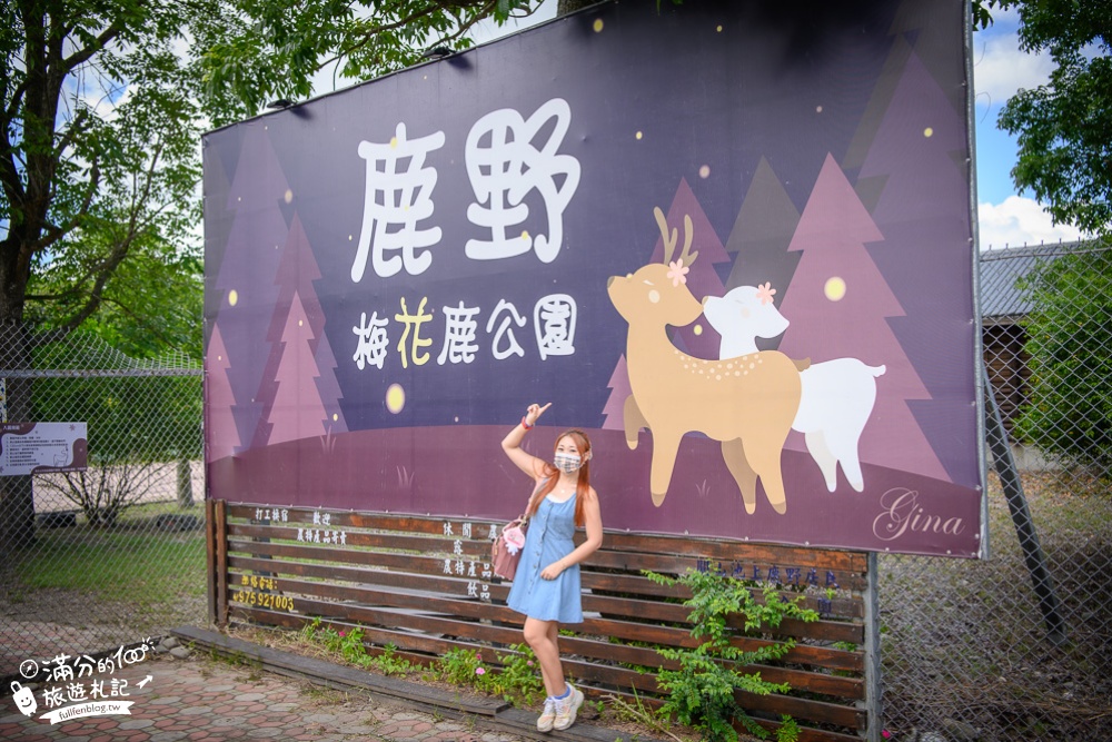 台東景點|鹿野梅花鹿公園|餵食互動.與鹿同行|被野生梅花鹿包圍啦~東台灣森林小奈良!