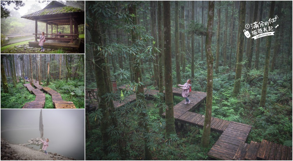 全台森林步道懶人包|15條經典綠林步道|大自然森呼吸~看綠色顧眼睛!