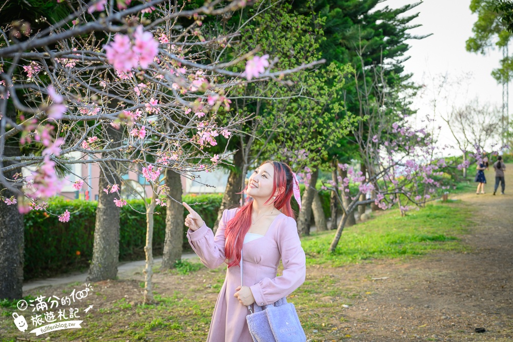 【2025苗栗銅鑼炮仗花海公園】炮仗花瀑布最新花況.銅鑼工業區花海,超亮眼的黃金西北雨~一景兩色賞櫻花!