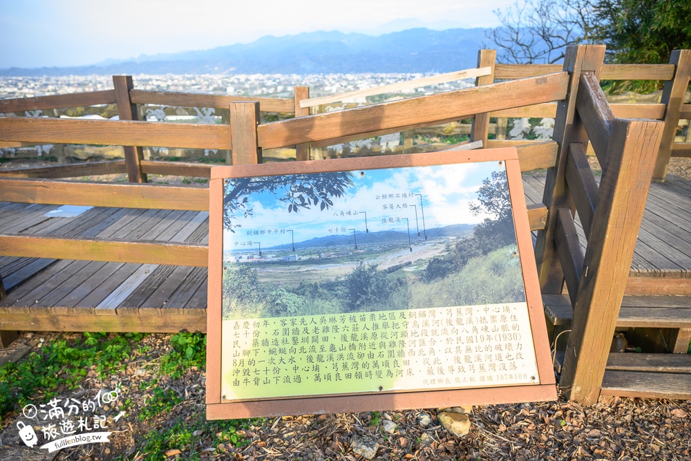 【2025苗栗銅鑼炮仗花海公園】炮仗花瀑布最新花況.銅鑼工業區花海,超亮眼的黃金西北雨~一景兩色賞櫻花!