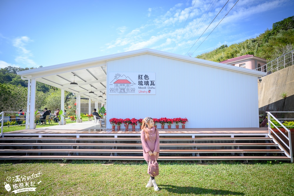TOP7苗栗大湖草莓園推薦,親子高架草莓園.吃草莓.玩拍草莓王.草莓周邊美食!
