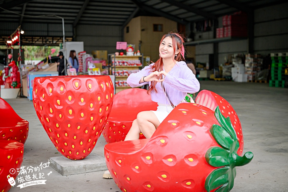 TOP7苗栗大湖草莓園推薦,親子高架草莓園.吃草莓.玩拍草莓王.草莓周邊美食!