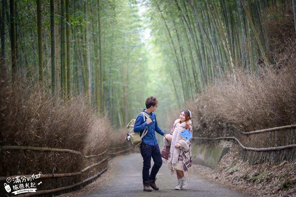 南投景點|大鞍竹海隧道(免門票)開車即達超輕鬆.200公尺的竹林秘境|私房景點~秒飛京都嵐山!