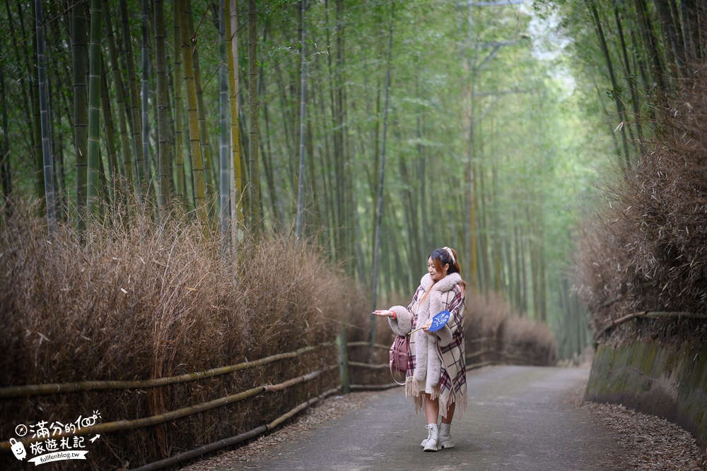 南投景點|大鞍竹海隧道(免門票)開車即達超輕鬆.200公尺的竹林秘境|私房景點~秒飛京都嵐山!