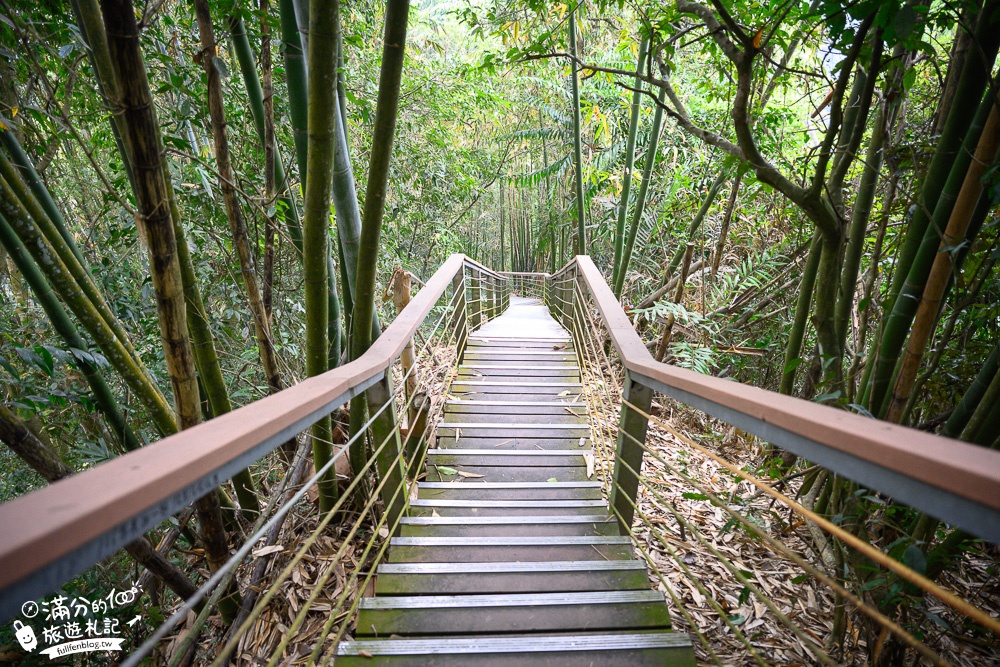 南投景點|竹山天梯.竹山地心谷|全台最震撼的梯子吊橋~挑戰體力，感受大自然山谷之美!
