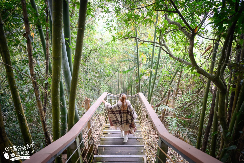 南投景點|竹山天梯.竹山地心谷|全台最震撼的梯子吊橋~挑戰體力，感受大自然山谷之美!